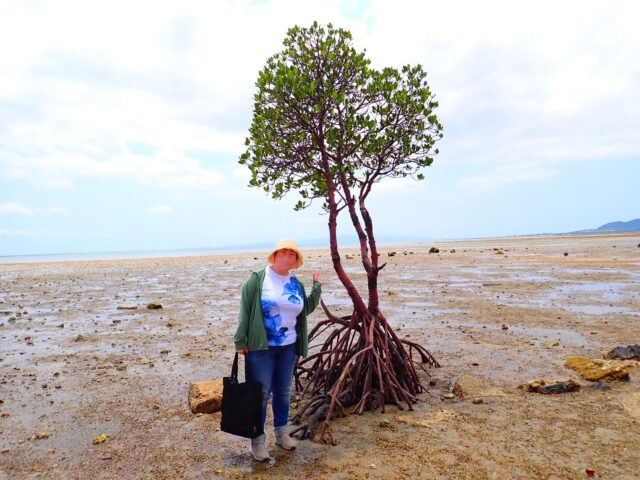 周遊フォトツアー