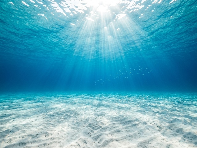 海