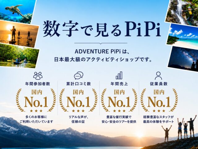 数字で見るPiPi　KV