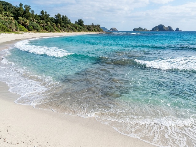 海　波